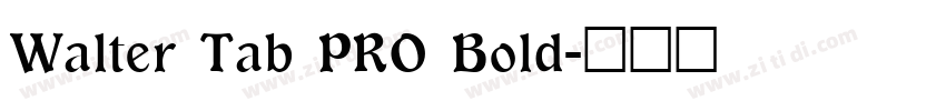 Walter Tab PRO Bold字体转换